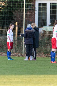Bild 132 - B-Juniorinnen Hamburger SV - Holstein Kiel : Ergebnis: 0:1
